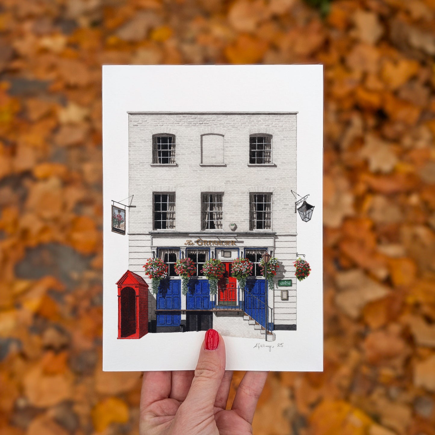 Belgravia - The Grenadier Pub - Giclée Print (unframed) - Knightsbridge